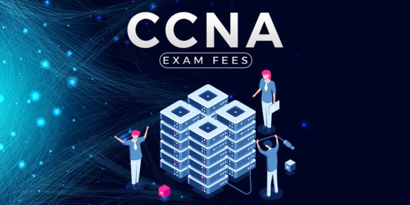 Can a Beginner Without IT Experience Successfully Learn and Pass the CCNA?