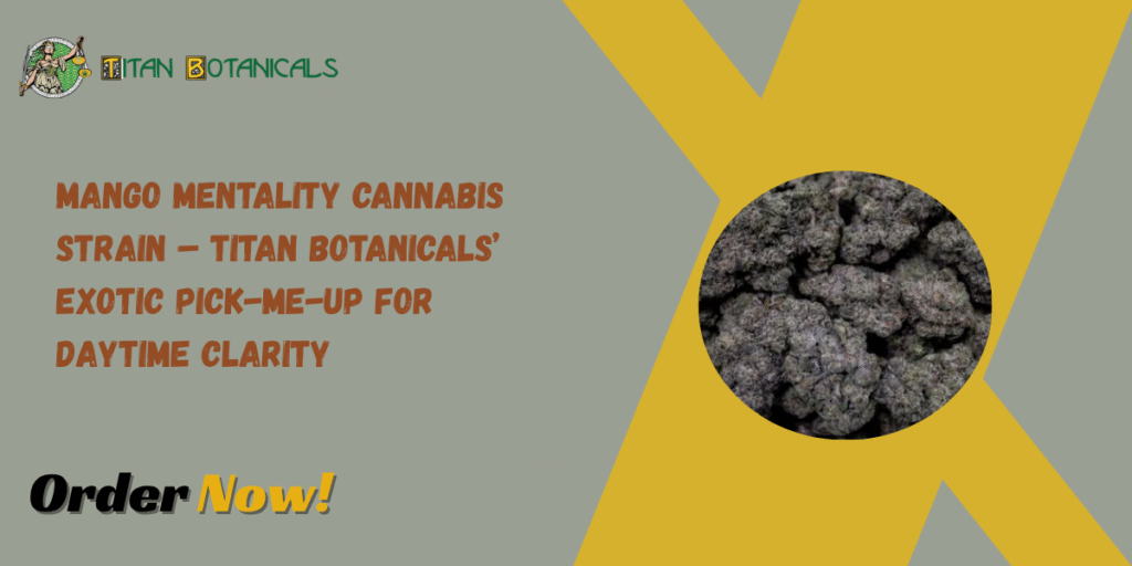 Mango Mentality Cannabis Strain
