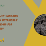 Mango Mentality Cannabis Strain
