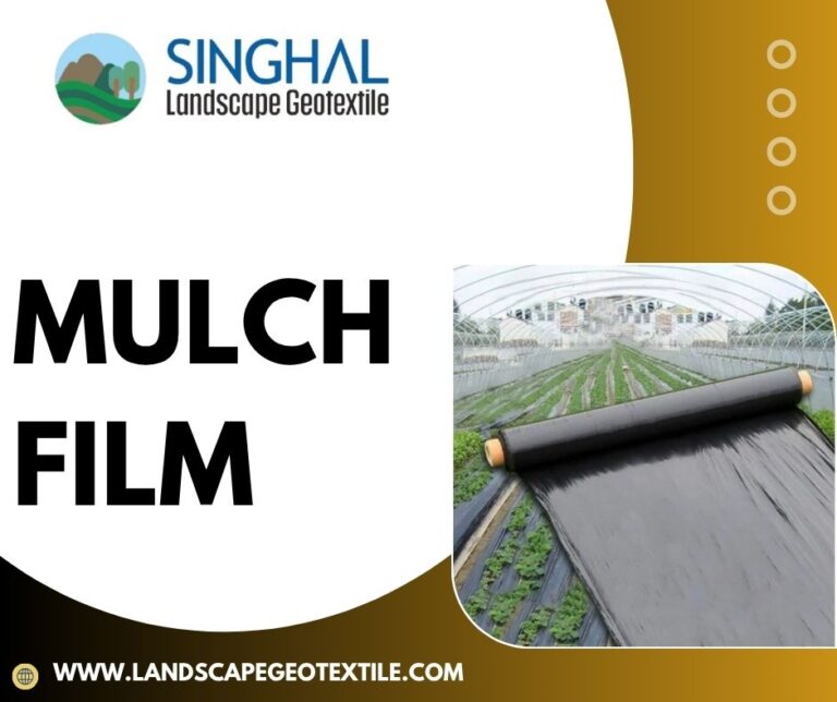 Mulch Film