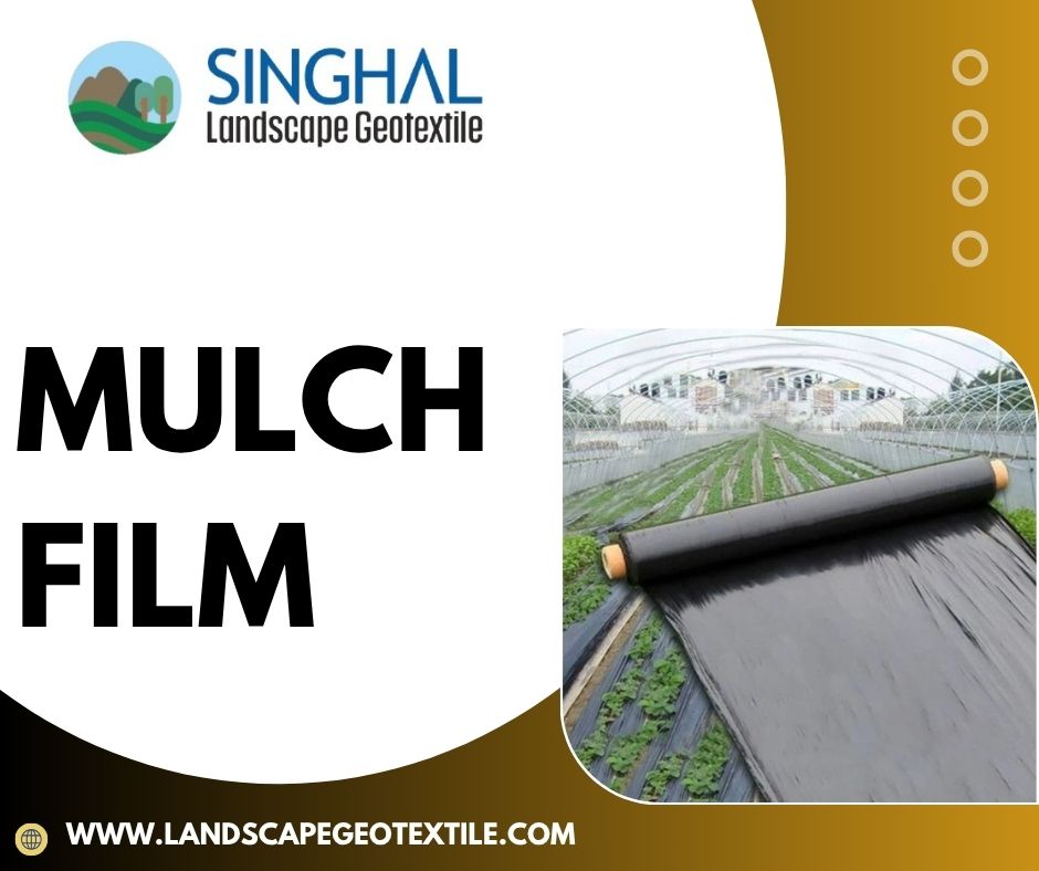 Mulch Film