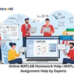 Online MATLAB Homework Help