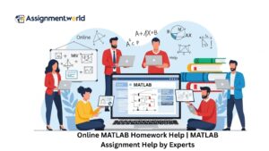 Online MATLAB Homework Help