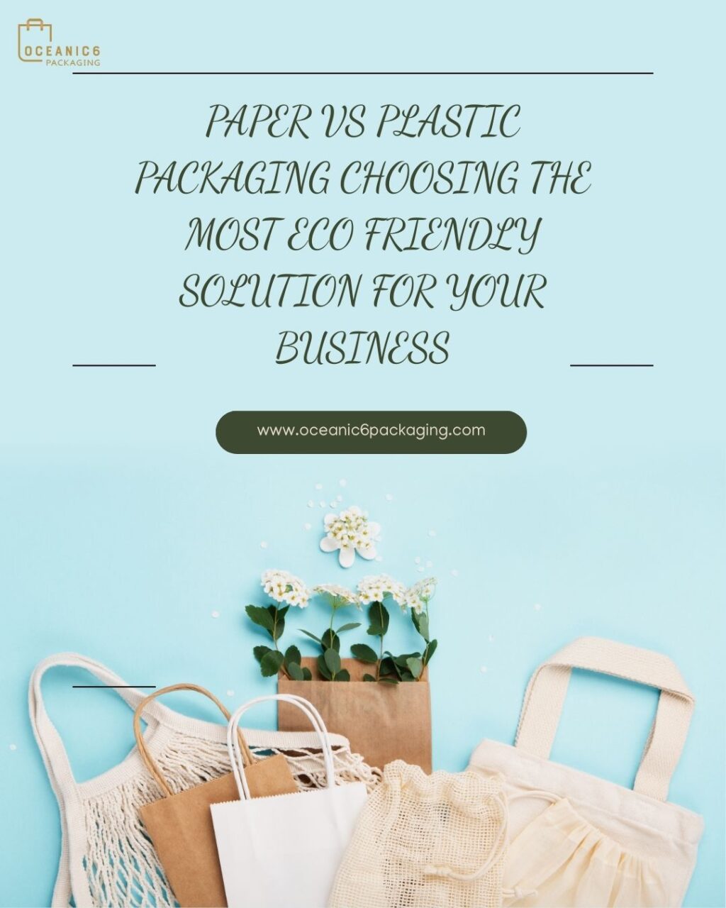 Paper vs Plastic Packaging Choosing the Most Eco Friendly Solution for Your Business