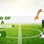 sportsbook software provider