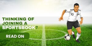 sportsbook software provider