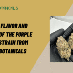 Purple Punch Strain