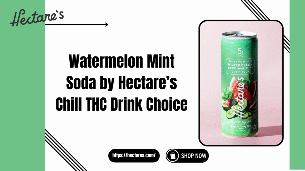 watermelon mint soda