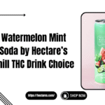 watermelon mint soda