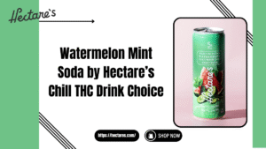 watermelon mint soda