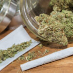 Summer Weed Deals in Canada