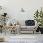 The Elegant & Stylish