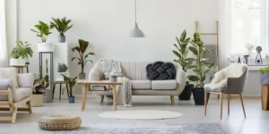 The Elegant & Stylish