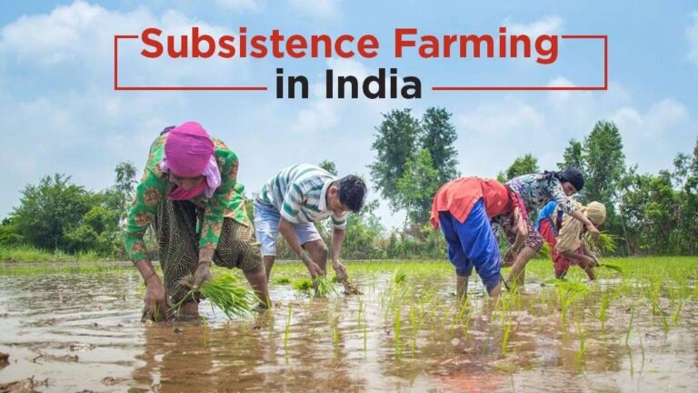 Subsistence Farming in India