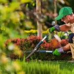 landscaping services in Edmond OK