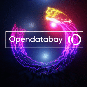 07 Opendatabay