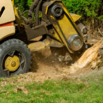 A Force of Nature Tree Service