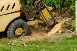 A Force of Nature Tree Service