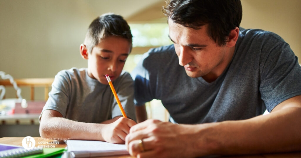 Essay Help