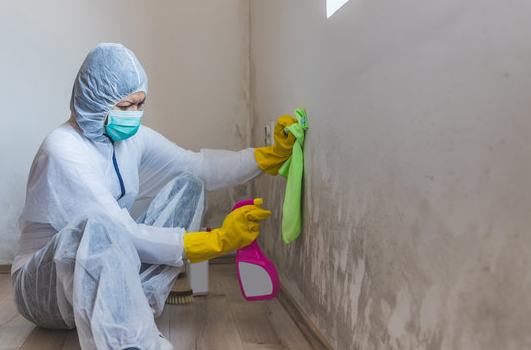Health Problems Caused by Mold Exposure and How to Stay Safe