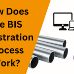 How Does the BIS Registration Process Work - CorpBiz