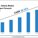 India Electric Vehicle Market
