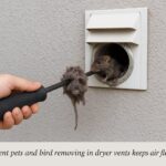 Dryer Vent Cleaning
