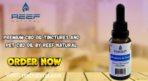 Buy CBD Tincture