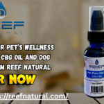 buy cbd oil dog treats