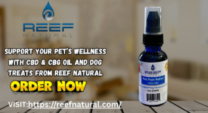 buy cbd oil dog treats