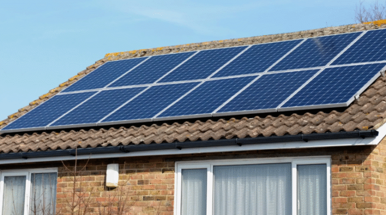 The Rise of Eco-Friendly Roofing: Sustainable Options for Homeowners