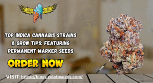 Best Indica Strains