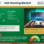 UAE Gaming Market Research (2)