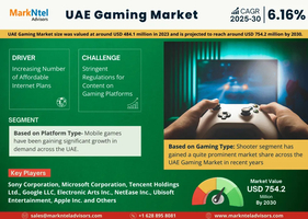 UAE Gaming Market Research (2)