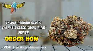 Exotic Cannabis Seeds