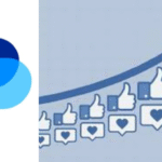 Bus facebook page likes