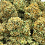 bulk weed