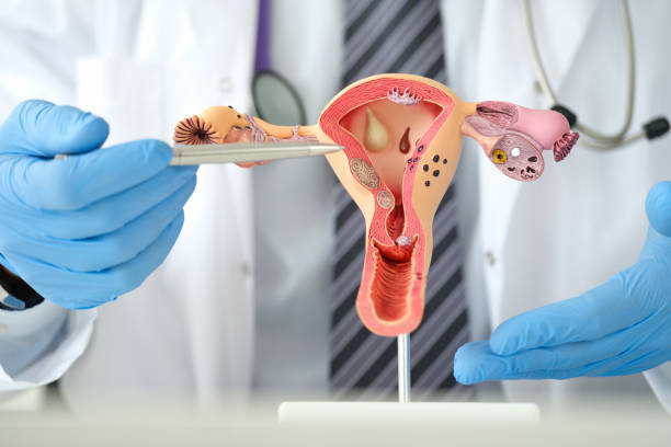 Obstetrician and Gynecologist in Petaling Jaya