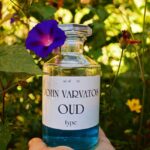Fragrance Oils for Men And Women