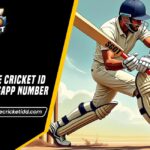 online cricket id whatsapp number