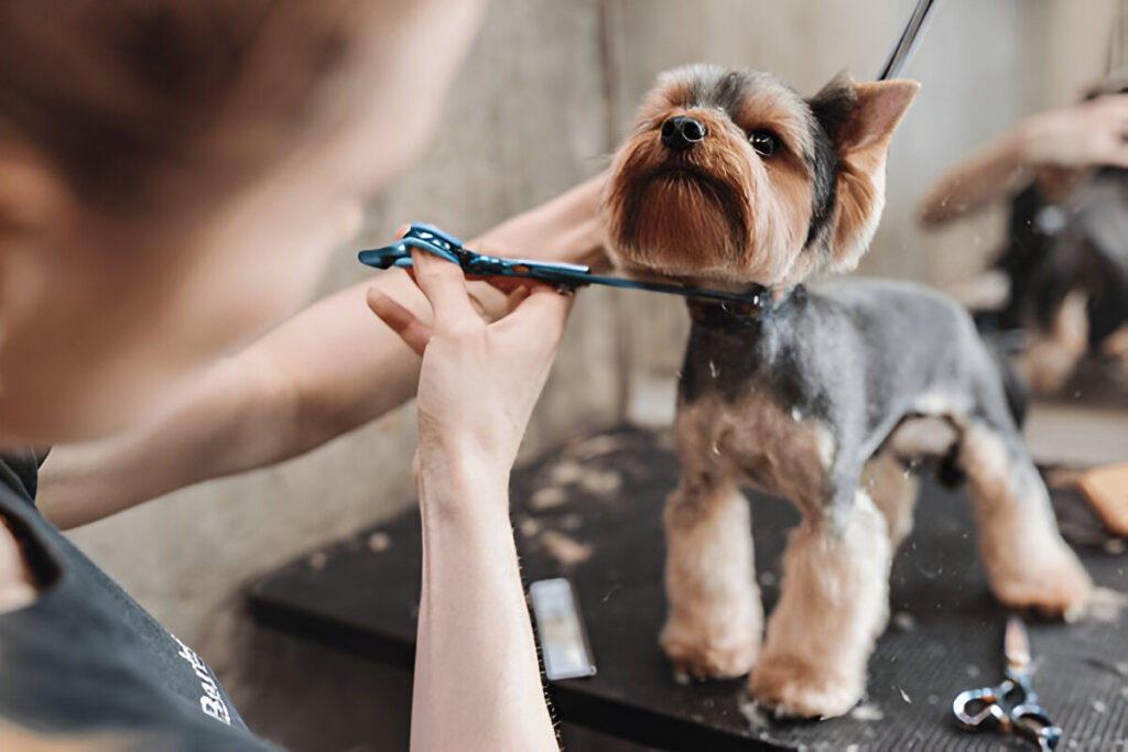 pet Grooming