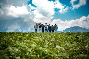 Group of travelers enjoying scenic mountain view in Shimla & Manali with Himalayan Traveling.