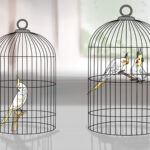 Pets And Bird Removing