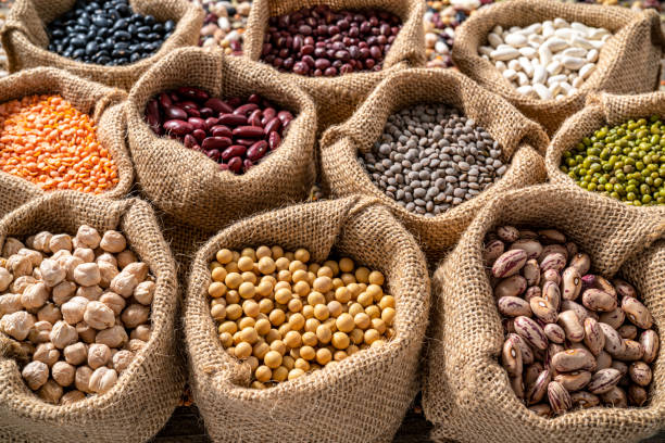 Protein Ingredients Market