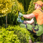 The Art of Sustainable Landscaping in the UAE