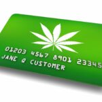 medical marijuana card renewal