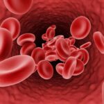 red-blood-cells-1024x768-1