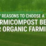 vermicompose