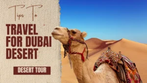 first trip to the Dubai desert