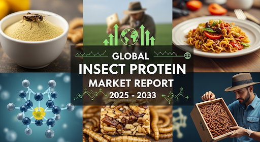 Insect Protein Market